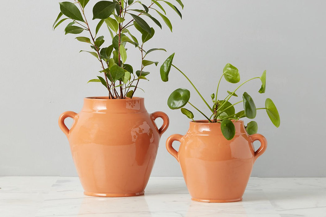Terracotta French Confit Pot, Small