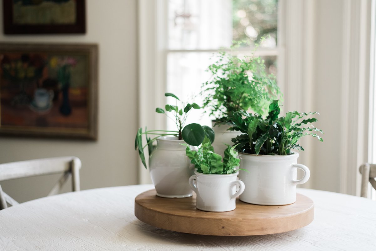 White Italian Olive Jar Planter, Large